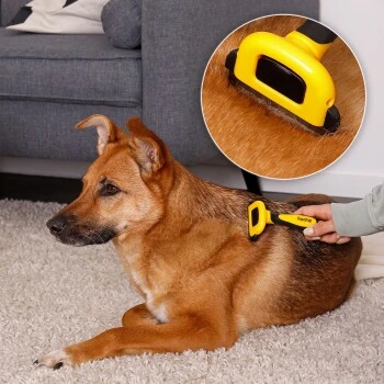 Lionto Haustierbürste, Zupfbürste 6 Lionto Haustierbürste, Zupfbürste – Bild 6