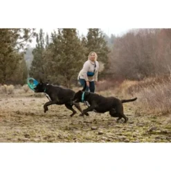 Ruffwear Pacific Ring™ Spielzeug Blau/ Türkis -Hund Spielzeug Verkäufe aaae4ecd59db92ffe25787fd56b7315d42974ecb 1444351 de DE f747ae339bc2beff156a317c539c1237b854177bd9ZZMN