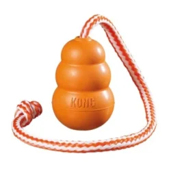 KONG Aqua Mit Wurftau L