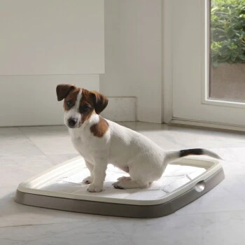 Savic Trainingspadhalter Puppy/Senior Starter-Paket S-M 2 Savic Trainingspadhalter Puppy/Senior Starter-Paket S-M – Bild 2