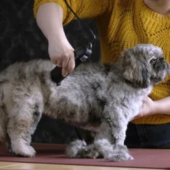 Moser Schermaschine Max 45 Inkl. ASK 9 Moser Schermaschine Max 45 Inkl. ASK -Hund Spielzeug Verkäufe b0d4eca208b1c44fde9769108a0a7feb3a3a5ad2 da57035be550c76ab9dcf7d8dbc15959d076f3f0