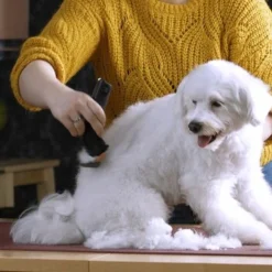 Moser Schermaschine Arco Pro 14 Moser Schermaschine Arco Pro -Hund Spielzeug Verkäufe b131ca6d4dc18dbcff5826048d13c7a9865a2f22 9527aaf3ea2ef7fd3da12225a4b042dbe7fd8159