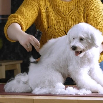 Moser Schermaschine Arco Pro 4 Moser Schermaschine Arco Pro – Bild 4