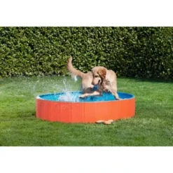 FIT+FUN Pool S -Hund Spielzeug Verkäufe b1cb34c1bb87f494acad835c3466dcf4312a1144 49528db90b739bc978efe51f63d1f6253667db9a