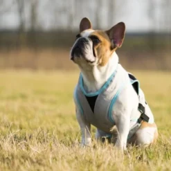 Trovet Suitical Kühlweste Dry Cool M -Hund Spielzeug Verkäufe b32e0654ab987d26790de796cf13d2e54cbed73f 1321386 de DE Trovet suitical 6 Kopie