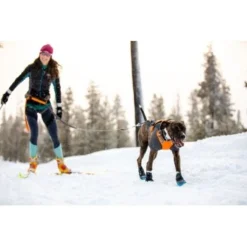 Ruffwear Cloud Chaser™ Hundejacke 18 Ruffwear Cloud Chaser™ Hundejacke -Hund Spielzeug Verkäufe b3945dcdf1d891b89bb33cdcabbc0f70acaf459d 1369625 de DE 87163fc3e147e303fdf97d4ab87fd720c4f34a96B9a7gd