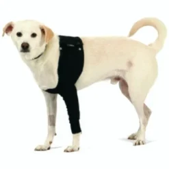 Trovet Suitical Recovery Sleeve XS -Hund Spielzeug Verkäufe b58ab3631444989290504c9e8c261d0d2991ec11 90a2a34575ce9c04e66dc515c6b00a0ef65de1b0