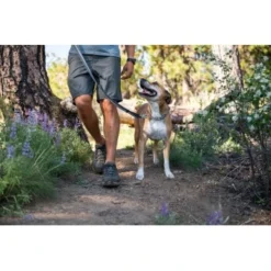 Ruffwear Chain Reaction™ Halsband Blau L -Hund Spielzeug Verkäufe bda880cf20a0d4ecfc42a492d3afe2b836b658b4 1651441 de DE d0f63a8cbba2a216d104e913e59205811773db0fOOdjoJ