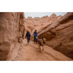 Ruffwear Overcoat Fuse™ Hundejacke Violett XXS -Hund Spielzeug Verkäufe be1df80a58a073c4a06905f9850fdb02868343c3 1639761 de DE 6b99be5157e3de813670a6d4268b03b177d774edbPJ4YO