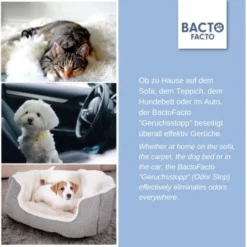 ChronoBalance BactoFacto Probiotischer Geruchsstopp Pads Für 2 Liter 20 Ml -Hund Spielzeug Verkäufe c27e75fc226c89e592b2af9866887997e79057a8 1397549 de DE 11eaf103bff429178d8c79950fc83faf63345183BU6JEF