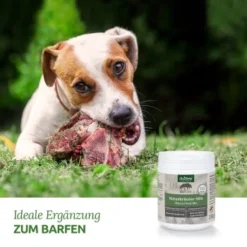 Aniforte BARF-Line Naturkräuter Mix 250g -Hund Spielzeug Verkäufe c578d8ead8b853abfea2a82ca4591ace6b681e88 1477973 de DE f5c2f4103e3264129f0109b6cb84b47eaa0188a6cBLOvK