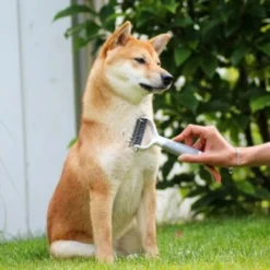 Schlitzohr Unterfellbürste Cookie -Hund Spielzeug Verkäufe c9cd59c081d200ca81ad0c82605d0c00181da6d3 1484682 de DE 6b20efbbad12aeb1dc053be9b5fd63024dae5828w0Fa0l