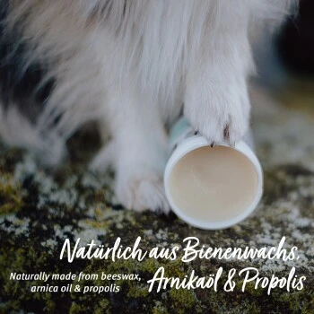 Aniforte Pfotenschutz Balsam 120ml Sommer & Winter 2 Aniforte Pfotenschutz Balsam 120ml Sommer & Winter – Bild 2