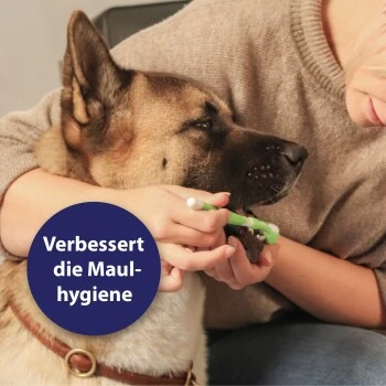 Canosept Zahnpflege-Set Für Hunde 4 Canosept Zahnpflege-Set Für Hunde – Bild 4