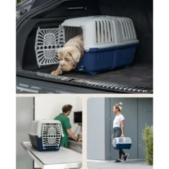 Lionto Transportbox Aus Plastik Dunkelblau S -Hund Spielzeug Verkäufe d364b75af76fad3c0fec93f6ca004d6da24c4c4e 1657970 de DE 5fce1ea0239c94df7b5030ce7f0031e44a065aad0cy4Ox