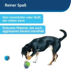 PetSafe Elektronisches Hundespielzeug Ricochet -Hund Spielzeug Verkäufe d4449f153a2c132dbacdcffdb9e5bd1534d39124 1418724 de DE f83cfc689e8023f0b85b6eeadf79a2629df4d4f153I9wY