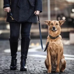 THE DOG IDEA Biothane Halsband Gold Braun XS 7 THE DOG IDEA Biothane Halsband Gold Braun XS -Hund Spielzeug Verkäufe d512e094ef874a15eecfe9b828bfc911b6bf4b89 1655403 de DE 01b2176a917ca11ea55be7a01d9a2ab678a246c6hgv4Ao