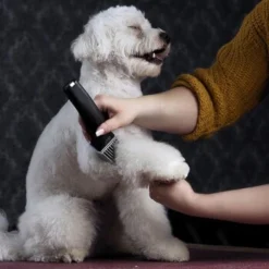 Moser Schermaschine Arco Pro 16 Moser Schermaschine Arco Pro -Hund Spielzeug Verkäufe d94979d61f2023cf0118c8257a8bd4066fa8858b ed4a0b808fc43743a84927566ac43a708eadd5ba