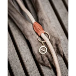 Freudentier Führleine 2m & 3-fach Verstellbar 9 Freudentier Führleine 2m & 3-fach Verstellbar -Hund Spielzeug Verkäufe da136201352b652776bf4ff928e36a2cad31ae58 1496011 de DE dbe5e17a45f3824496627f136a358f46709dd62bWp1qxp