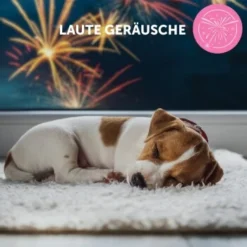 ADAPTIL Junior Halsband Anti Stress Erziehungshalsband 19 ADAPTIL Junior Halsband Anti Stress Erziehungshalsband -Hund Spielzeug Verkäufe db33920bc3d21bba892bdb530582f20170b9cd84 1287044 9