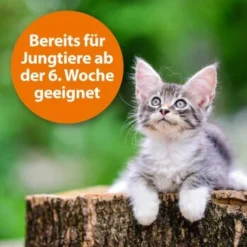 Ardap Zecken- Und Flohpuder 150g -Hund Spielzeug Verkäufe dbdf009c8d0233872761402d57b066832841a21c 1341059 de DE 346ada57fd64265cd7e33fec00853a93b033d4599B7b3A