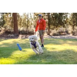 Ruffwear Gourdo™ Spielzeug L Violett 18 Ruffwear Gourdo™ Spielzeug L Violett -Hund Spielzeug Verkäufe e0043bb37798e694605eafae31f43ab1b08a1b0e 1639892 de DE 14d32b95607116f791fa89977cce0163703631adnlxQik