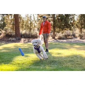Ruffwear Gourdo™ Spielzeug L Violett 9 Ruffwear Gourdo™ Spielzeug L Violett – Bild 9