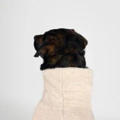 THE DOG IDEA Bademantel Every Beige XXXS 11 THE DOG IDEA Bademantel Every Beige XXXS -Hund Spielzeug Verkäufe e422295baa6d89098b73cfe7547469e3ab0cb664 1472946 de DE 76009bd0b32ce079af8898f7d053c6d584d97a8eoIz5zb