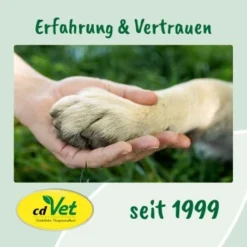 Fell & Haut Vital 150 G -Hund Spielzeug Verkäufe e43eaf71ae161fbb37d73e6d99ceb091a86fef78 1049905 de DE 9de31ae422c889f65e12a1085ee6ba81b11de6a3saphta