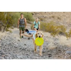 Ruffwear Camp Flyer™ Spielzeug Gelb -Hund Spielzeug Verkäufe e4a37a6a829a29e9ccf8cc78751e0fdb21b1f16a 1444349 de DE aecf8c0098a10a43cb5986118c66a87955de58baPHiPKl