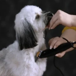 Moser Schermaschine REX 10 Moser Schermaschine REX -Hund Spielzeug Verkäufe e8038dbcc4727a75747f8832087092baa0fa43aa 187f5afc428e49269186b36ca7790ac3a42cb0ac