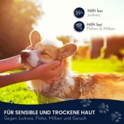 Pawlie's Sensitiv Hundeshampoo Für Hunde 9 Pawlie's Sensitiv Hundeshampoo Für Hunde -Hund Spielzeug Verkäufe e89fe06ff66f08049212bfc10adc10153aeb63cf 1626194 de DE 4976fc58bb1aa66ec74bbce2250fc22a134be1c3oYKgL0