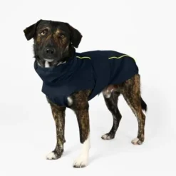 THE DOG IDEA Regenmantel Duke Navy XXXS 12 THE DOG IDEA Regenmantel Duke Navy XXXS -Hund Spielzeug Verkäufe ea00da11be84052a9bd95ce1f2727678ed1be4f4 1473009 de DE ac44302b2919bae198c186891f7199cadbe8fe207lh60I
