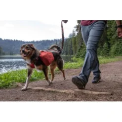 Ruffwear Front Range™ Hundetagesrucksack Rot XS -Hund Spielzeug Verkäufe ecc2342d30f723199676137e5ad8c45ad3ce0796 1639836 de DE fe8e077ce41ec4d12619357e7402d2ee7ca63fed0L7PK6