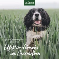 Aniforte Grasmilben-EX Spray Für Hunde 500ml -Hund Spielzeug Verkäufe f1681a58b880d49267b5877e09c99fc6406a033b 1655910 de DE e3905507b4127feea49671bfd5a4aadf45361666Vq4xRH