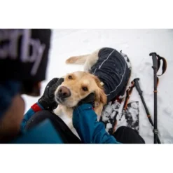 Ruffwear Cloud Chaser™ Hundejacke 17 Ruffwear Cloud Chaser™ Hundejacke -Hund Spielzeug Verkäufe f46c67f8b7243d976f998e1877675b56fc87eab2 1369625 de DE 51d1c132eb566a7eb9e278708f64567d4e47a10epBiJRc