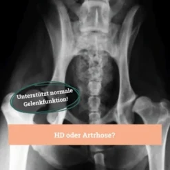 BeG Buddy Gelenk Fit Tabletten 12 BeG Buddy Gelenk Fit Tabletten -Hund Spielzeug Verkäufe f4b9d51f2e78d12f2ca2a2fe6ae9f754ebede26e 1457251 de DE d18aefeba3109b170fc6ce5df4353512cf27c799DQ6Cd3