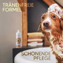 Pawlie's Welpenshampoo 10 Pawlie's Welpenshampoo -Hund Spielzeug Verkäufe f56801adb1bee6d0b5fdd328d641fa773ce5d4c4 1626204 de DE 7b87b87a2e48e8c0e12b98c918c4d75b538aae40E5TfEc