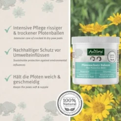 Aniforte Pfotenschutz Balsam 120ml Sommer & Winter 6 Aniforte Pfotenschutz Balsam 120ml Sommer & Winter -Hund Spielzeug Verkäufe f6352728d2d295839a5f9bac2123e02ea5cfd66d 1480491 de DE b4b6382b0452d366b3ffc33798d9e5be379c6ee9yrOk4E