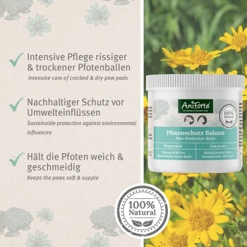 Aniforte Pfotenschutz Balsam 120ml Sommer & Winter 3 Aniforte Pfotenschutz Balsam 120ml Sommer & Winter – Bild 3