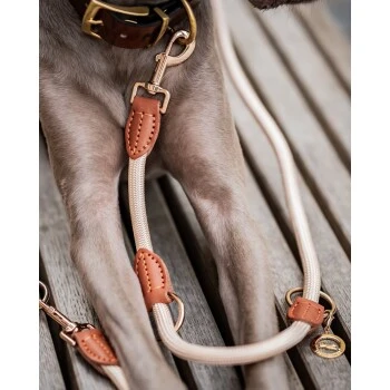 Freudentier Führleine 2m & 3-fach Verstellbar 6 Freudentier Führleine 2m & 3-fach Verstellbar – Bild 6