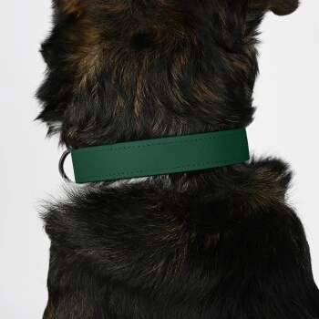 THE DOG IDEA Biothane Halsband Dunkelgrün XS 3 THE DOG IDEA Biothane Halsband Dunkelgrün XS – Bild 3