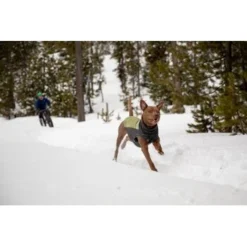 Ruffwear Climate Changer™ Fleece-Pullover Für Hunde Rot S -Hund Spielzeug Verkäufe fc22c2bf571467d3b4a13f07039506d1e744f556 1369661 de DE a9fba8eb5491b88489a9522880e926a6833ccfbe7NJDVr