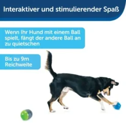 PetSafe Elektronisches Hundespielzeug Ricochet -Hund Spielzeug Verkäufe fde7c0cc07cd70611ca47b65ddae3e632f160d94 1418724 de DE 4f6e4953c50827cae26a42d6d5890e56447a49a4XQHEwC