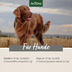 Aniforte MagenSanft 500 G -Hund Spielzeug Verkäufe fe2567e7684b8fd656955ed41deef25f532b0511 1422194 de DE f98ca202b48e5e6e342712478cde9ca416f11037JVxzP1