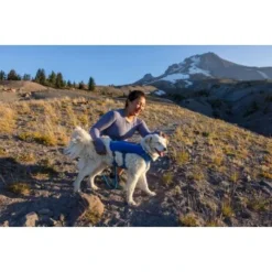 Ruffwear Trail Runner™ Weste Blau XS -Hund Spielzeug Verkäufe fe9a07e8da387504b2215a58c73311668656feaa 1639640 de DE 7e91d54f53a97c1cbc2709f9a67c912d45a39cffx1uy8o