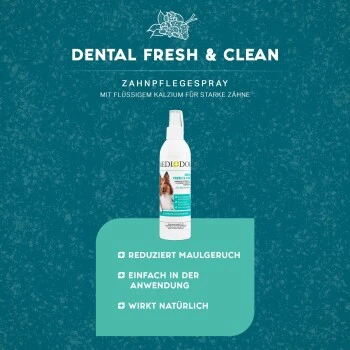 MediDog Dental Fresh & Clean 3 MediDog Dental Fresh & Clean – Bild 3