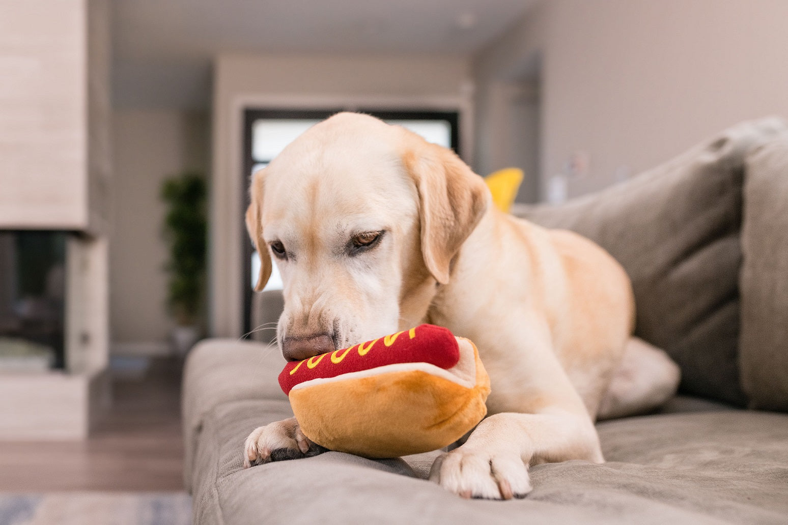 Hund Spielzeug Verkäufe -Hund Spielzeug Verkäufe P.L.A.Y Hundespielzeug Hotdog Hotdiggydog ammifordogs